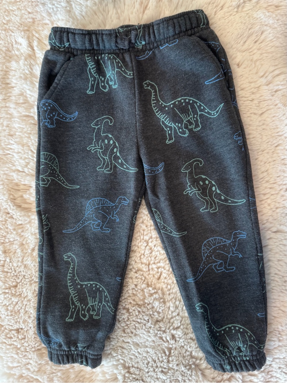 Cat & Jack Fleece Dark Gray Sweatpants Dinosaurs 2T